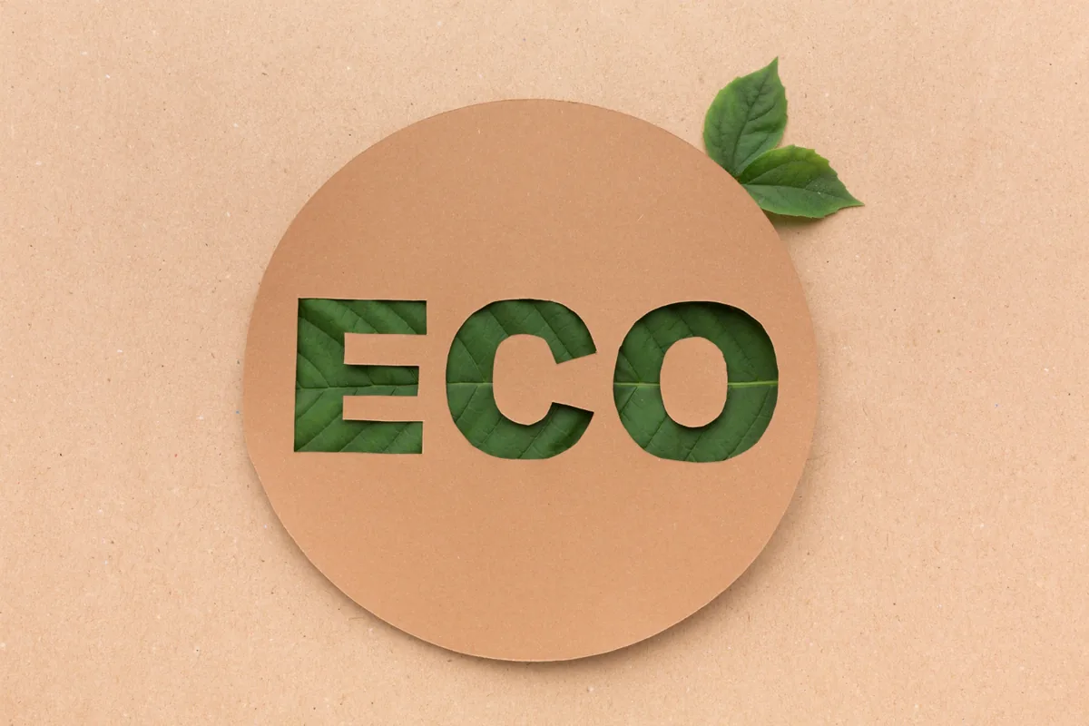 2. Eco-Friendly Products