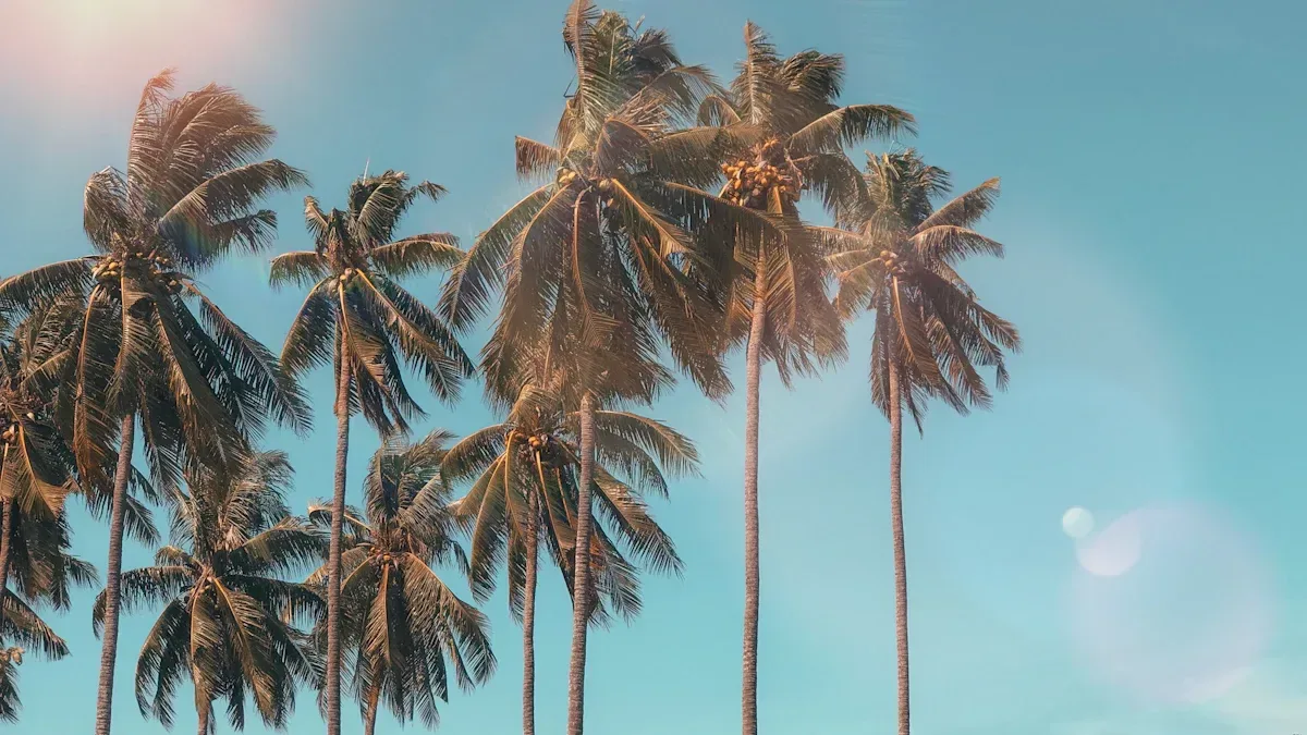 Creative Summer Marketing Ideas