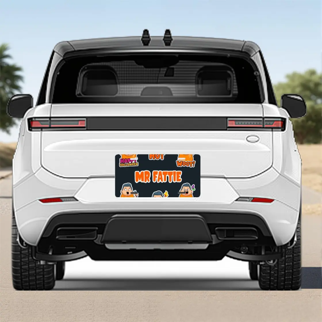 Car Aluminum License Plate Printed in USA