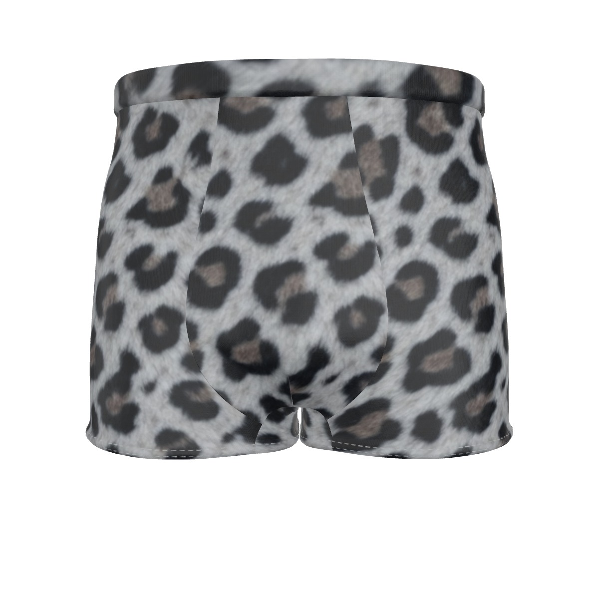 All-Over Print Men's Boxer Briefs (PAGHE)
