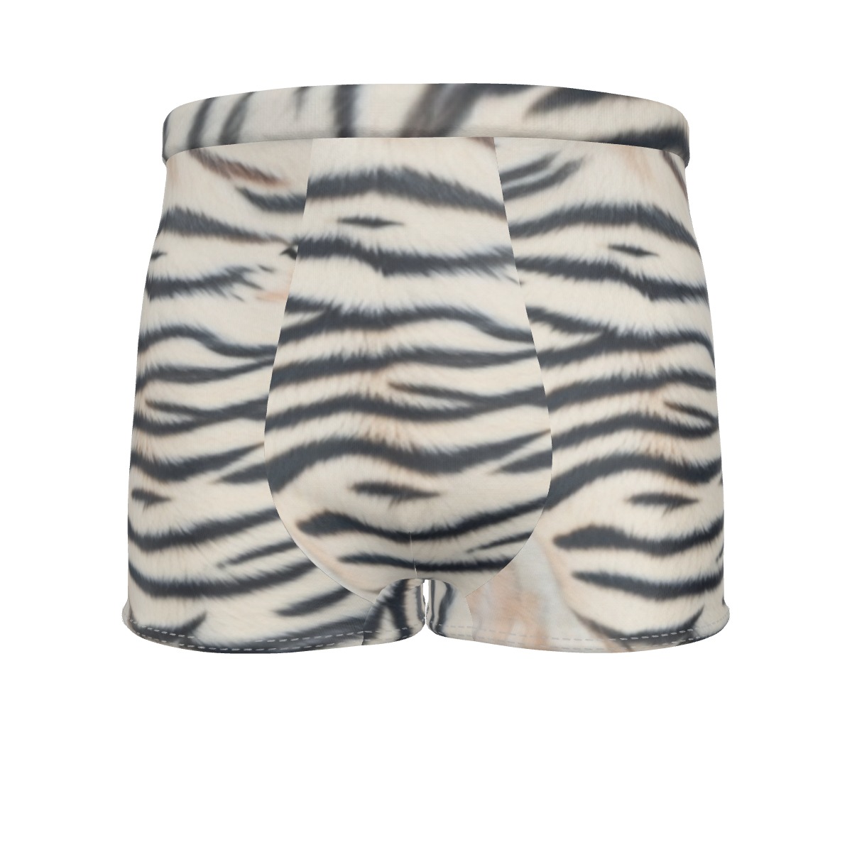 All-Over Print Men's Boxer Briefs (PAS51)