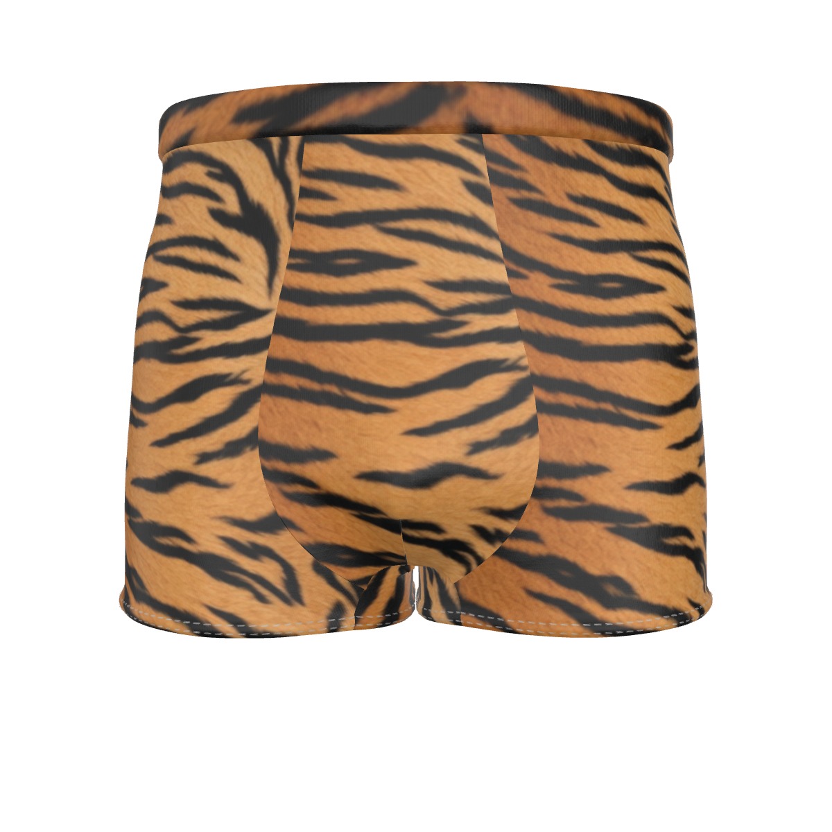 All-Over Print Men's Boxer Briefs (PASVL)