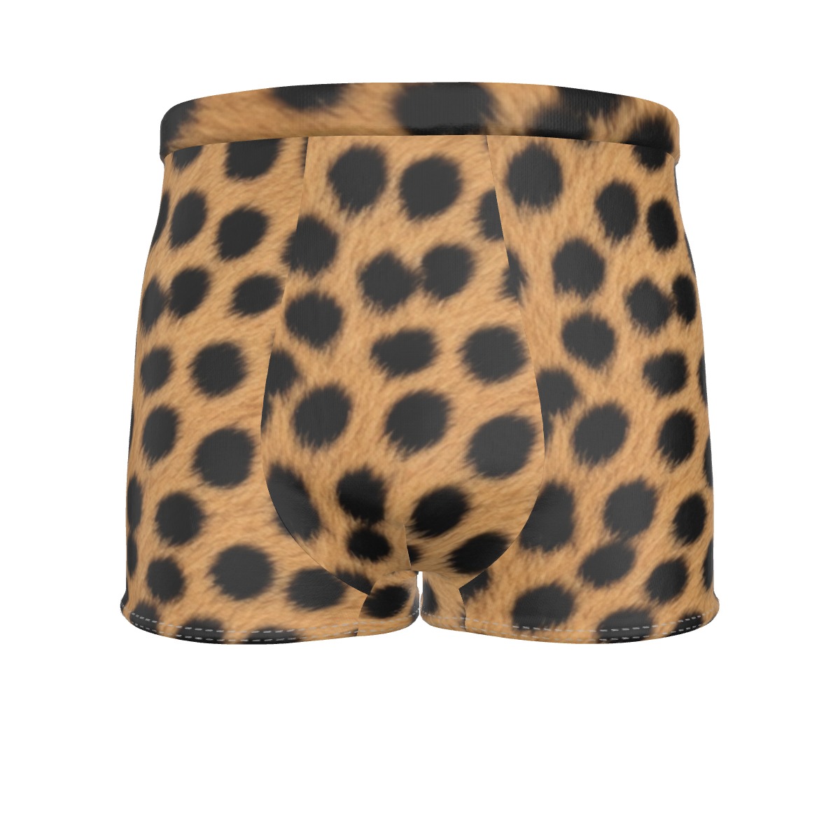 All-Over Print Men's Boxer Briefs (PAQL6)